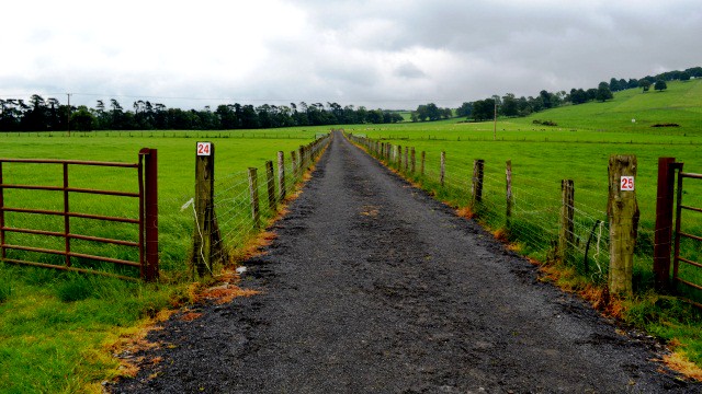 Chemin d'accs stabilis