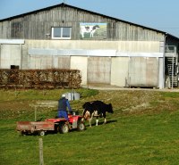 conseil-elevage-controle-laitier-nutritionniste-bovin-ruminants